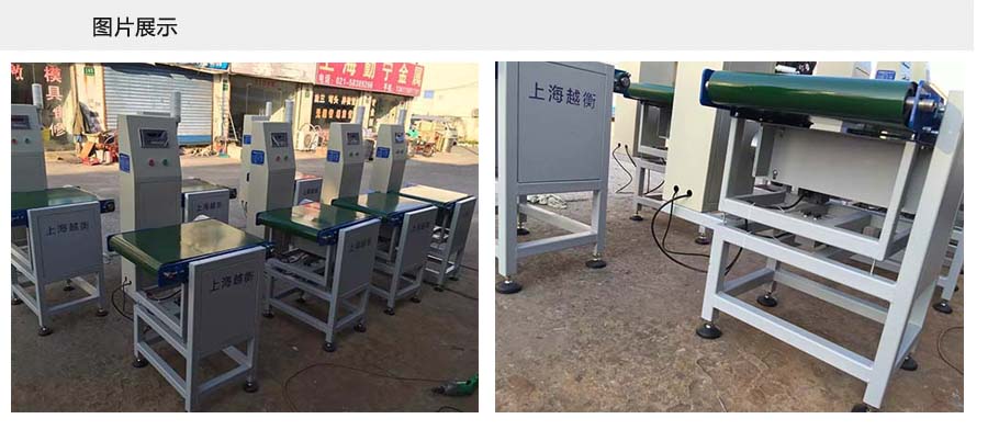 自動(dòng)檢重秤圖片